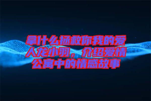 拿什么拯救你我的愛人龍小羽，介紹愛情公寓中的情感故事