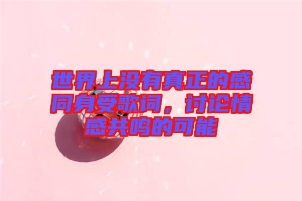 世界上沒有真正的感同身受歌詞，討論情感共鳴的可能