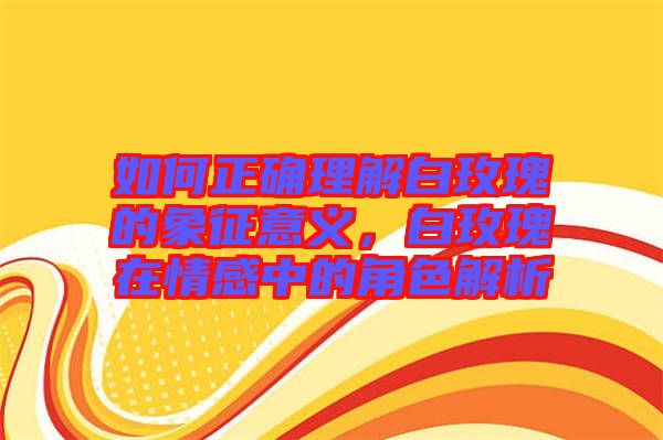 如何正確理解白玫瑰的象征意義，白玫瑰在情感中的角色解析