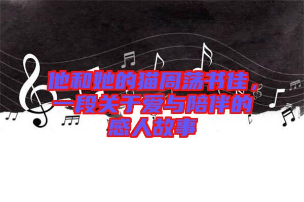 他和她的貓周蕩書佳，一段關于愛與陪伴的感人故事