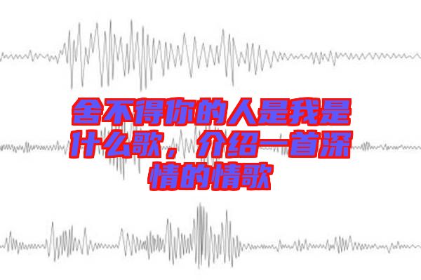 舍不得你的人是我是什么歌，介紹一首深情的情歌