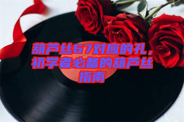 葫蘆絲67對應的孔，初學者必備的葫蘆絲指南