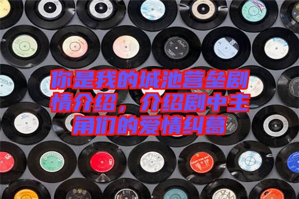 你是我的城池營壘劇情介紹，介紹劇中主角們的愛情糾葛
