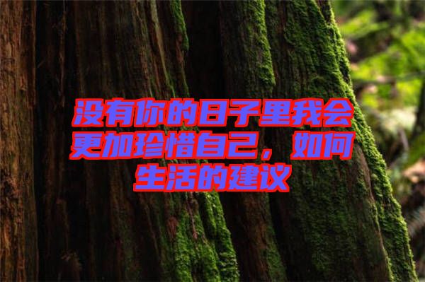 沒有你的日子里我會更加珍惜自己，如何生活的建議