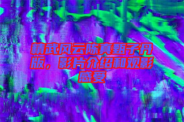精武風云陳真甄子丹版，影片介紹和觀影感受