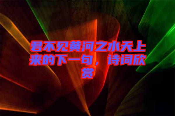 君不見(jiàn)黃河之水天上來(lái)的下一句，詩(shī)詞欣賞