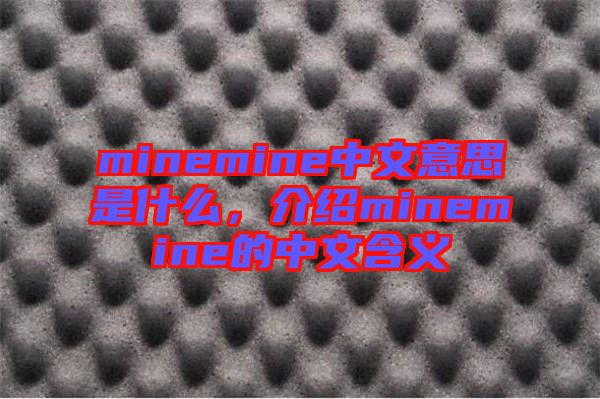 minemine中文意思是什么，介紹minemine的中文含義