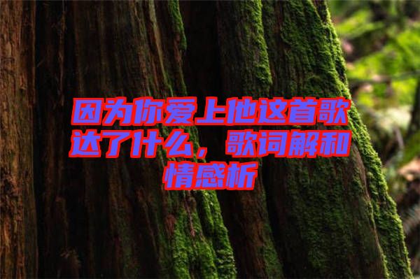因為你愛上他這首歌達了什么，歌詞解和情感析