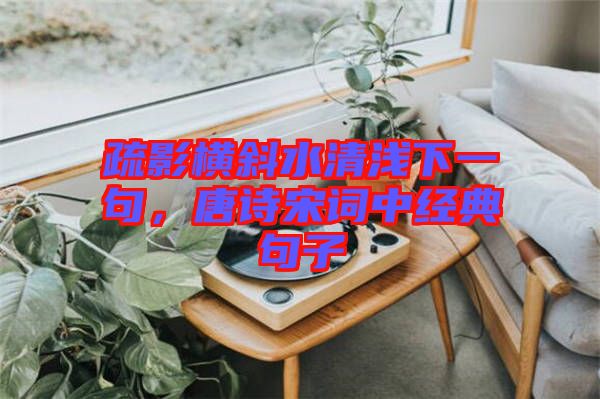 疏影橫斜水清淺下一句，唐詩宋詞中經典句子