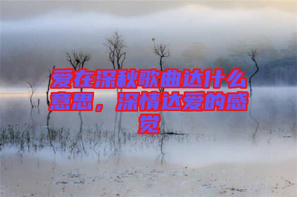 愛在深秋歌曲達什么意思，深情達愛的感覺