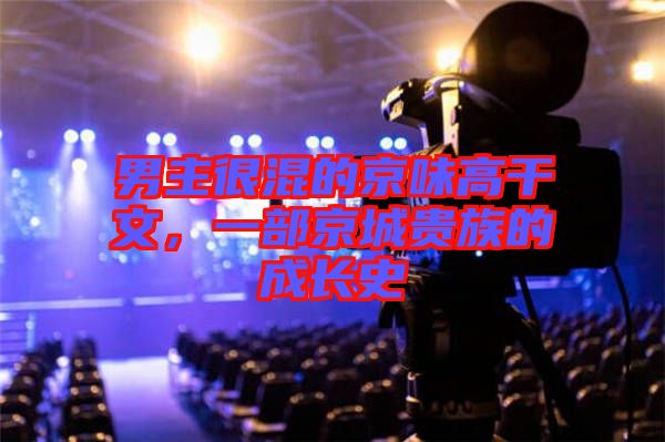 男主很混的京味高干文，一部京城貴族的成長史