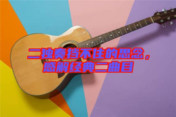 二獨奏擋不住的思念，感解經典二曲目