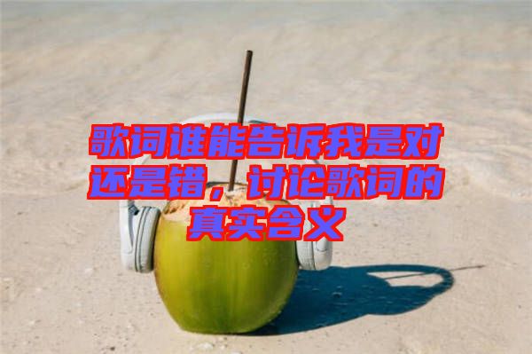 歌詞誰能告訴我是對(duì)還是錯(cuò)，討論歌詞的真實(shí)含義
