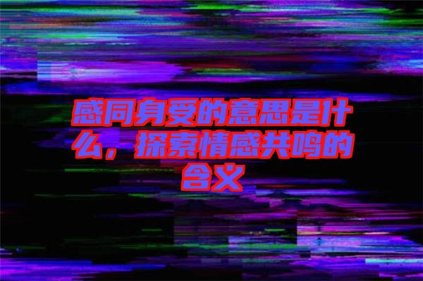 感同身受的意思是什么，探索情感共鳴的含義