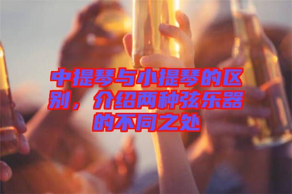 中提琴與小提琴的區別，介紹兩種弦樂器的不同之處