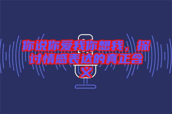 你說你愛我你想我，探討情感表達(dá)的真正含義