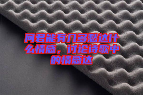 問君能有幾多愁達什么情感，討論詩歌中的情感達