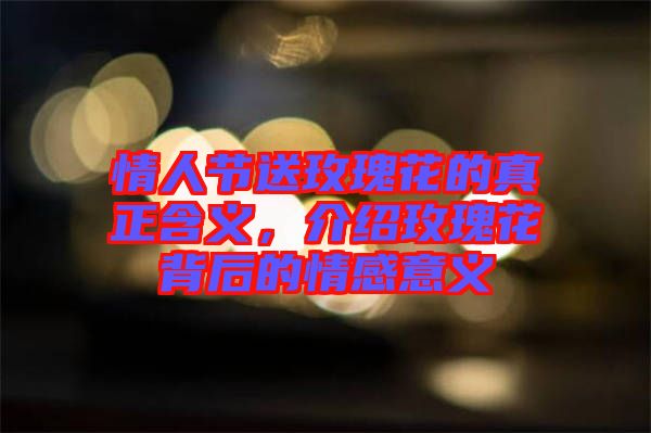 情人節送玫瑰花的真正含義，介紹玫瑰花背后的情感意義