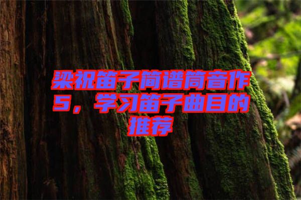 梁祝笛子簡譜筒音作5，學習笛子曲目的推薦