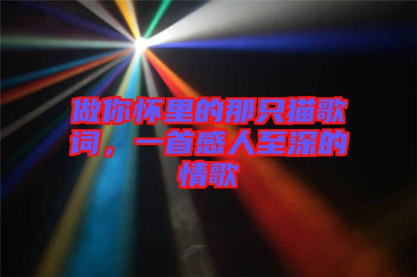 做你懷里的那只貓歌詞，一首感人至深的情歌
