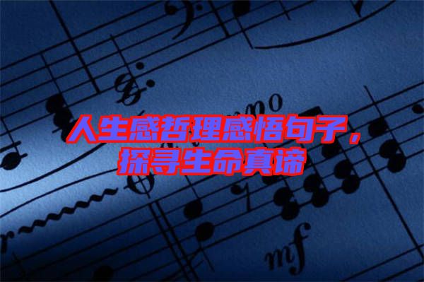 人生感哲理感悟句子，探尋生命真諦