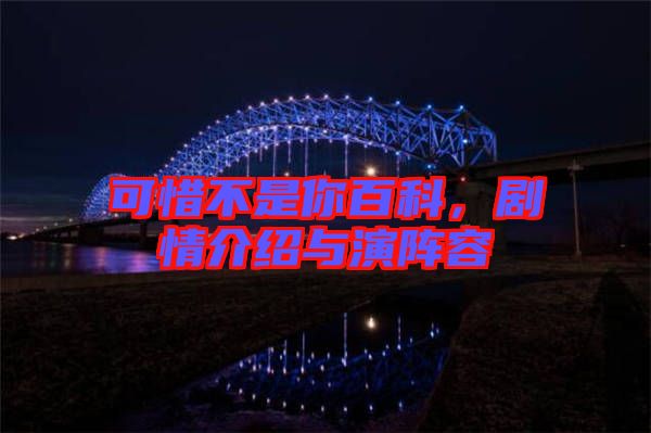 可惜不是你百科，劇情介紹與演陣容