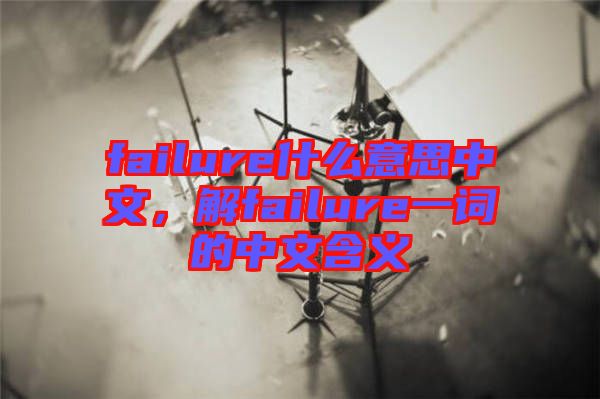 failure什么意思中文，解failure一詞的中文含義