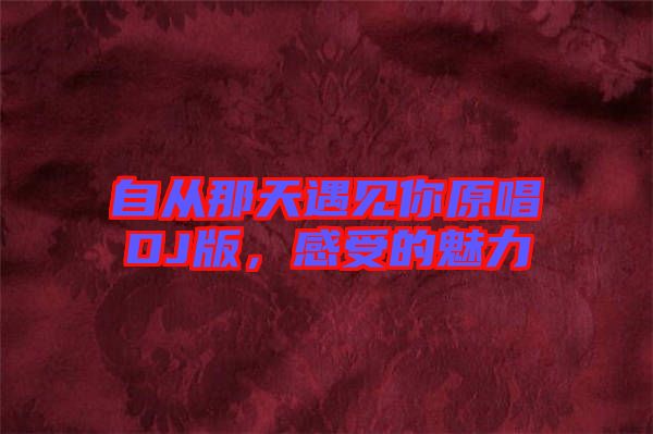 自從那天遇見你原唱DJ版，感受的魅力