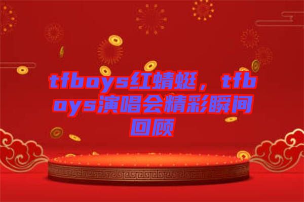 tfboys紅蜻蜓，tfboys演唱會精彩瞬間回顧