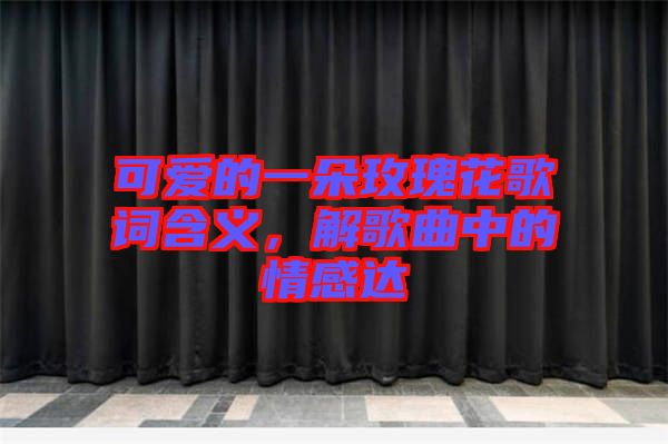 可愛的一朵玫瑰花歌詞含義，解歌曲中的情感達