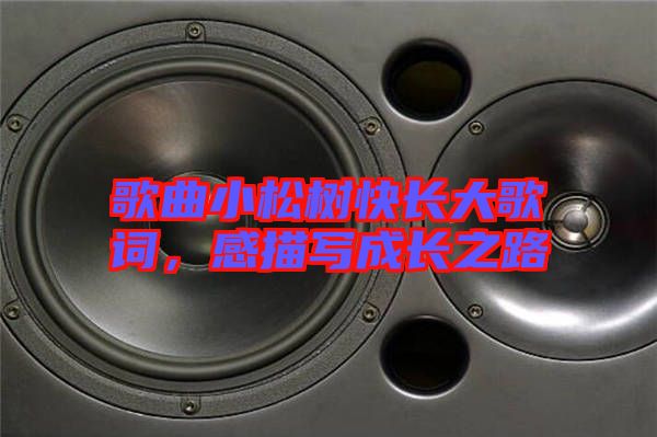 歌曲小松樹(shù)快長(zhǎng)大歌詞，感描寫成長(zhǎng)之路