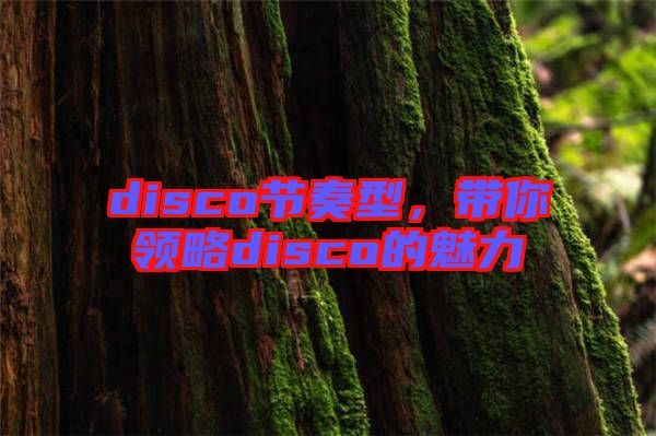 disco節(jié)奏型，帶你領(lǐng)略disco的魅力