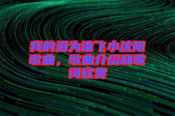 我的淚為誰飛小沈陽歌曲，歌曲介紹和歌詞欣賞