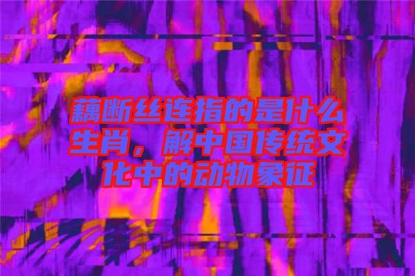 藕斷絲連指的是什么生肖，解中國傳統(tǒng)文化中的動物象征