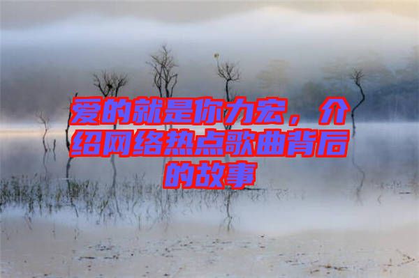 愛的就是你力宏，介紹網絡熱點歌曲背后的故事