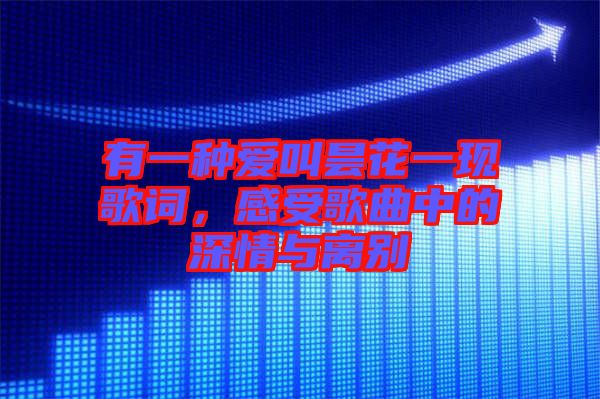 有一種愛叫曇花一現歌詞，感受歌曲中的深情與離別