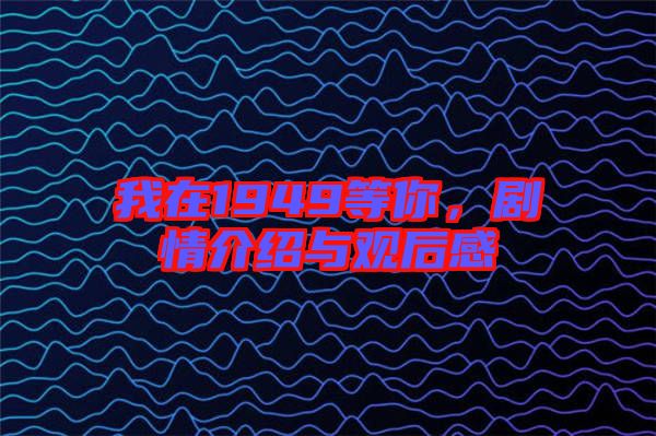 我在1949等你，劇情介紹與觀后感