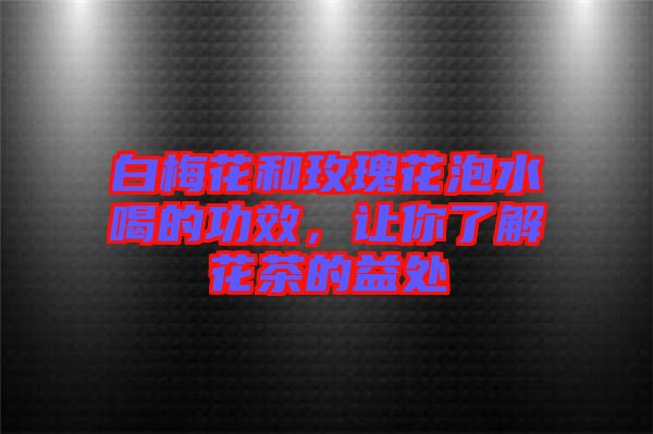 白梅花和玫瑰花泡水喝的功效，讓你了解花茶的益處