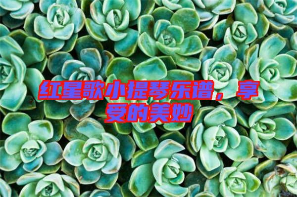 紅星歌小提琴樂譜，享受的美妙