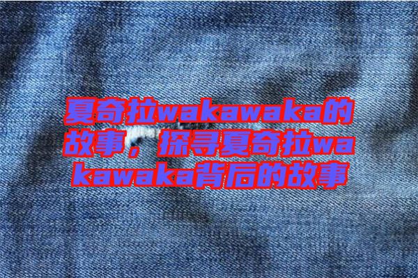夏奇拉wakawaka的故事，探尋夏奇拉wakawaka背后的故事