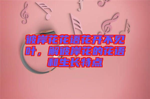彼岸花花語花開不見葉，解彼岸花的花語和生長特點