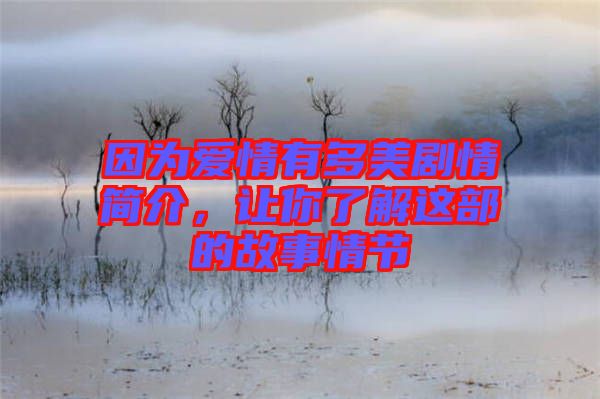 因為愛情有多美劇情簡介，讓你了解這部的故事情節