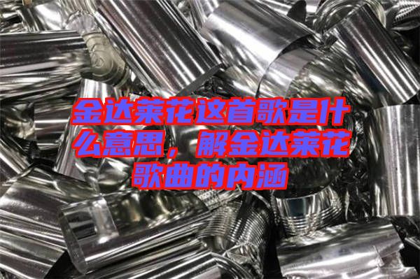 金達萊花這首歌是什么意思，解金達萊花歌曲的內涵