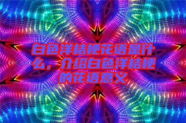 白色洋桔?；ㄕZ是什么，介紹白色洋桔梗的花語意義