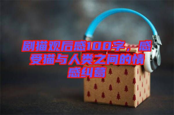 劇貓觀后感100字，感受貓與人類之間的情感糾葛