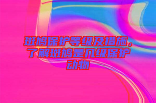 斑鳩保護等級及措施，了解斑鳩是幾級保護動物