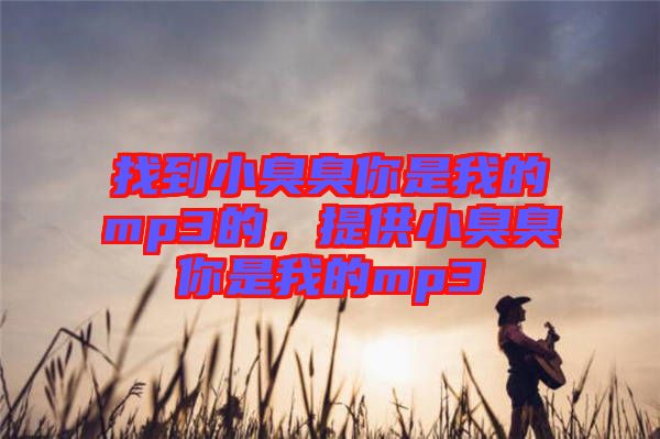 找到小臭臭你是我的mp3的，提供小臭臭你是我的mp3