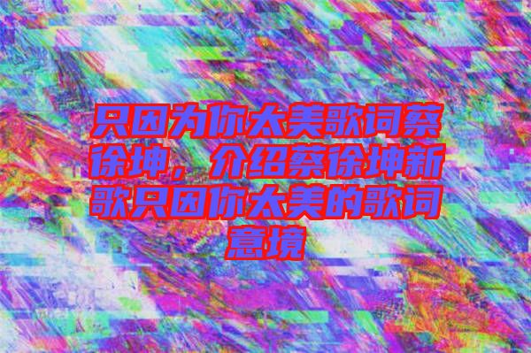 只因為你太美歌詞蔡徐坤，介紹蔡徐坤新歌只因你太美的歌詞意境