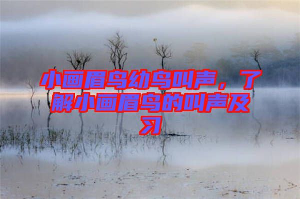 小畫眉鳥幼鳥叫聲，了解小畫眉鳥的叫聲及習(xí)