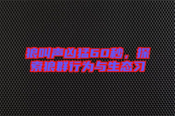 狼叫聲兇猛60秒，探索狼群行為與生態習
